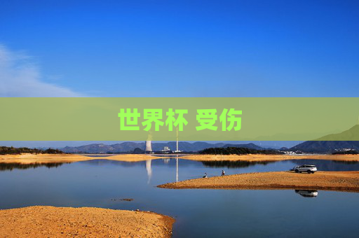 世界杯 受伤