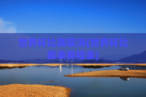 世界杯比赛取消(世界杯比赛表赛程表)