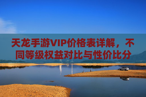 天龙手游VIP价格表详解，不同等级权益对比与性价比分析
