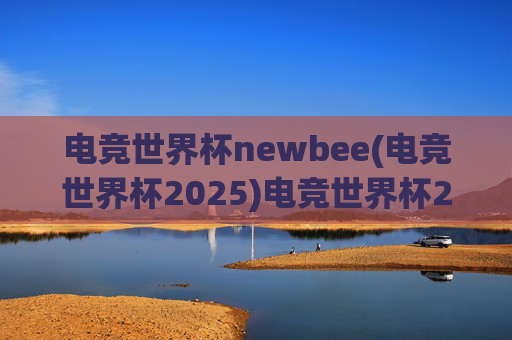 电竞世界杯newbee(电竞世界杯2025)电竞世界杯2025，Newbee的竞技征程与荣耀传承