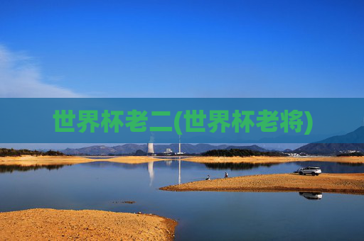 世界杯老二(世界杯老将)