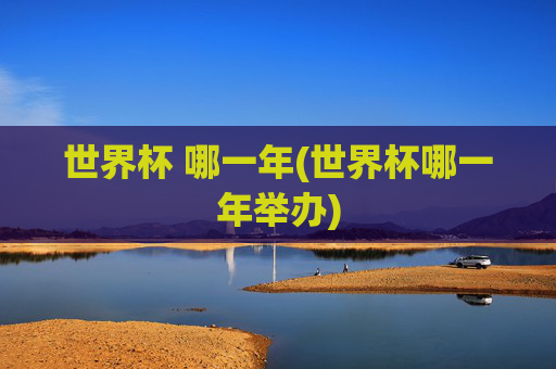 世界杯 哪一年(世界杯哪一年举办)