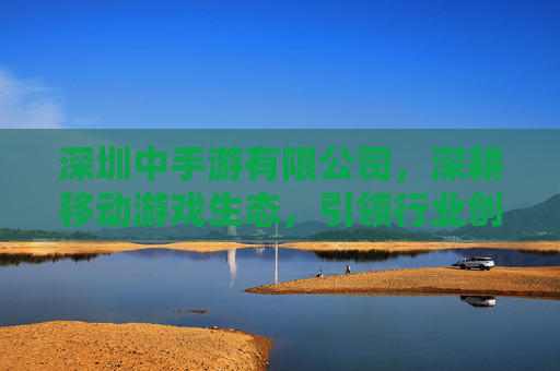 深圳中手游有限公司,深耕移动游戏生态,引领行业创新与发展的核心力量,深圳中手游有限公司,深耕移动游戏生态,引领行业创新与发展的核心力量