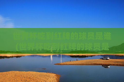 世界杯吃到红牌的球员是谁(世界杯吃到红牌的球员是谁啊)