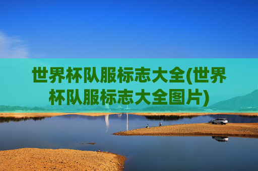 世界杯队服标志大全(世界杯队服标志大全图片)