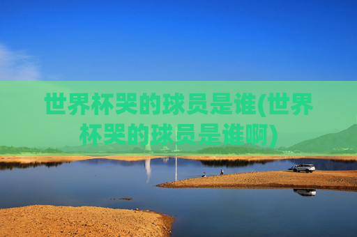 世界杯哭的球员是谁(世界杯哭的球员是谁啊)