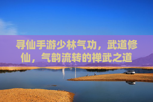 寻仙手游少林气功，武道修仙，气韵流转的禅武之道