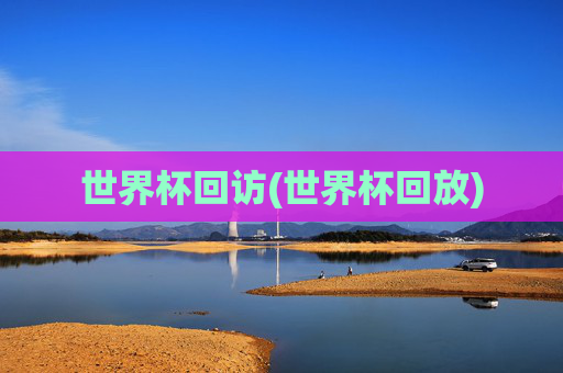 世界杯回访(世界杯回放)