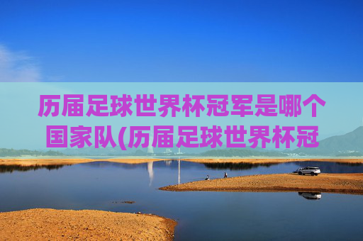 历届足球世界杯冠军是哪个国家队(历届足球世界杯冠军是哪个国家队的)