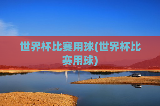 世界杯比赛用球(世界杯比赛用球)