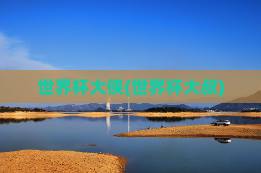 世界杯大侠(世界杯大叔)
