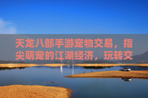 天龙八部手游宠物交易，指尖萌宠的江湖经济，玩转交易解锁新体验，天龙八部手游宠物交易，指尖萌宠的江湖经济新体验