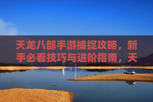 天龙八部手游捕捉攻略，新手必看技巧与进阶指南，天龙八部手游捕捉攻略，新手必看技巧与进阶指南