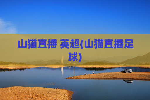 山猫直播 英超(山猫直播足球)