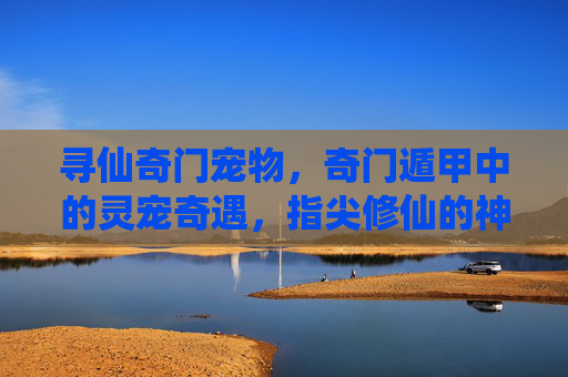 寻仙奇门宠物,奇门遁甲中的灵宠奇遇,指尖修仙的神秘伙伴