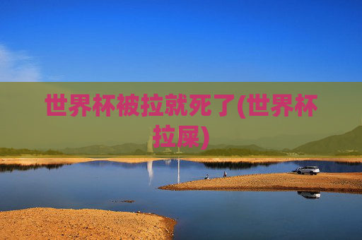 世界杯被拉就死了(世界杯拉屎)