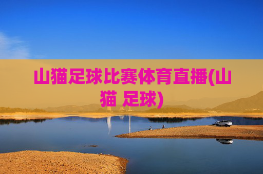山猫足球比赛体育直播(山猫 足球)