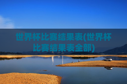 世界杯比赛结果表(世界杯比赛结果表全部)