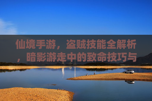 仙境手游，盗贼技能全解析，暗影游走中的致命技巧与玩法进阶指南