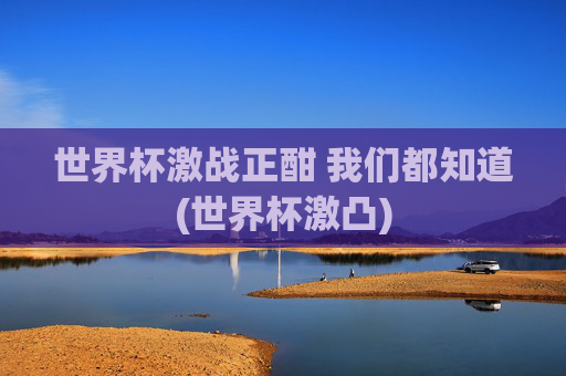 世界杯激战正酣 我们都知道(世界杯激凸)
