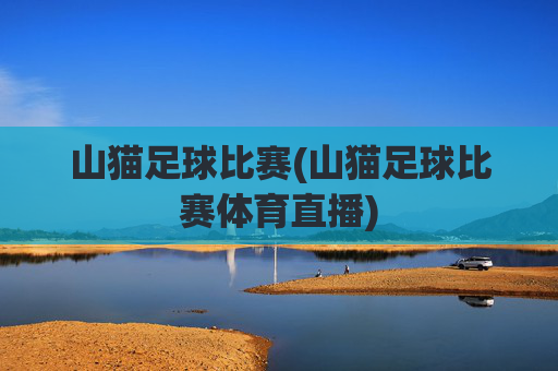 山猫足球比赛(山猫足球比赛体育直播)