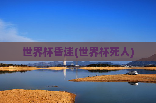 世界杯昏迷(世界杯死人)
