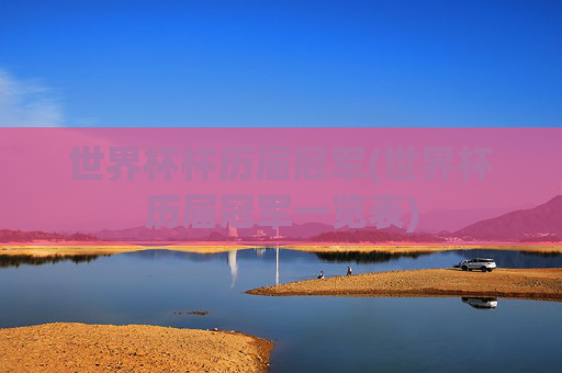 世界杯杯历届冠军(世界杯历届冠军一览表)