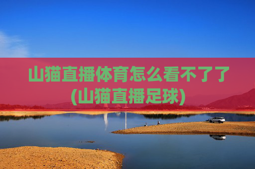 山猫直播体育怎么看不了了(山猫直播足球)