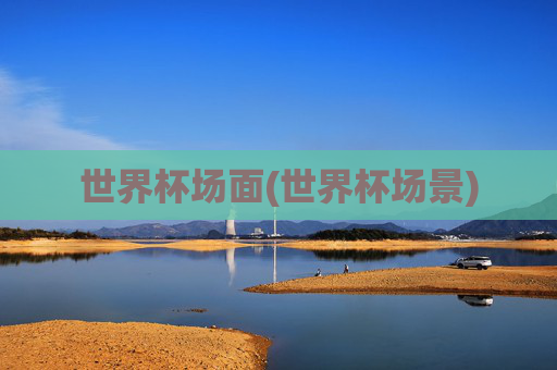 世界杯场面(世界杯场景)