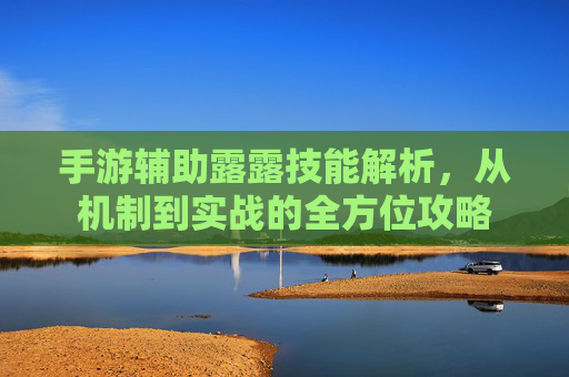 手游辅助露露技能解析，从机制到实战的全方位攻略