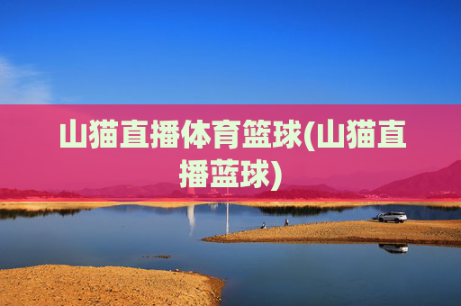 山猫直播体育篮球(山猫直播蓝球)