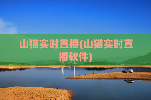 山猫实时直播(山猫实时直播软件)