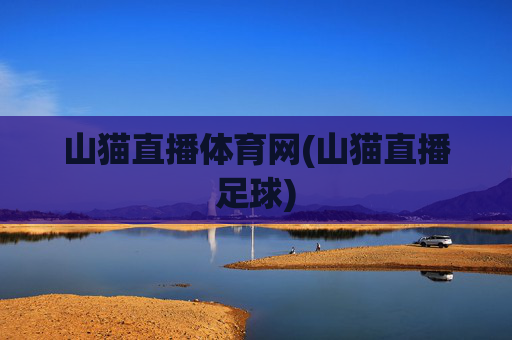 山猫直播体育网(山猫直播足球)