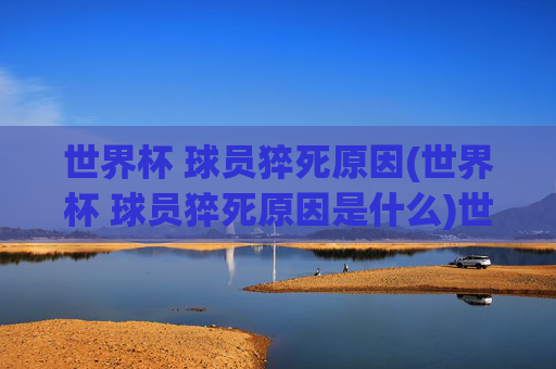 世界杯 球员猝死原因(世界杯 球员猝死原因是什么)世界杯球员猝死原因是什么？揭秘健康危机与风险因素