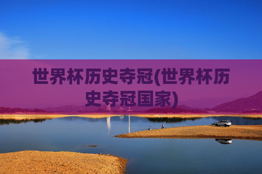 世界杯历史夺冠(世界杯历史夺冠国家)