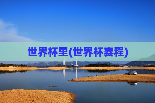世界杯里(世界杯赛程)