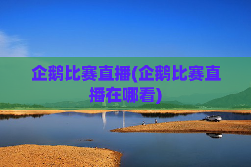 企鹅比赛直播(企鹅比赛直播在哪看)