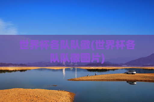 世界杯各队队徽(世界杯各队队徽图片)