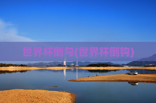 世界杯倒勾(世界杯倒钩)