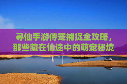 寻仙手游侍宠捕捉全攻略，那些藏在仙途中的萌宠秘境，寻仙手游侍宠捕捉全攻略，那些藏在仙途中的萌宠秘境
