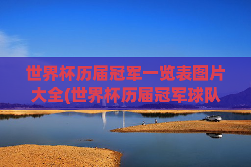 世界杯历届冠军一览表图片大全(世界杯历届冠军球队)