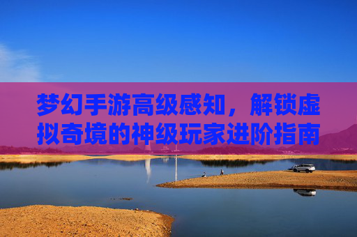 梦幻手游高级感知，解锁虚拟奇境的神级玩家进阶指南