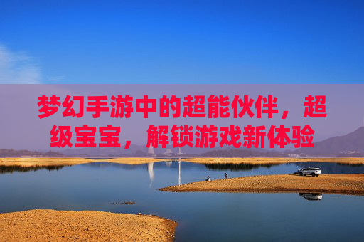 梦幻手游中的超能伙伴，超级宝宝，解锁游戏新体验