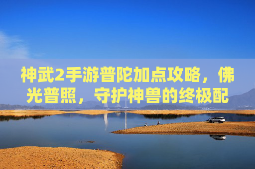 神武2手游普陀加点攻略，佛光普照，守护神兽的终极配置