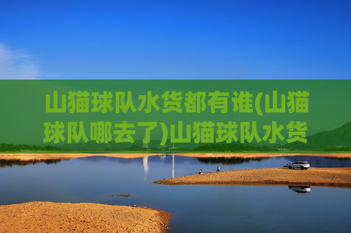 山猫球队水货都有谁(山猫球队哪去了)山猫球队水货都有谁?球队去向解析