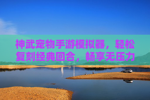 神武宠物手游模拟器，轻松复刻经典回合，畅享无压力游戏体验，神武宠物手游模拟器，复刻经典回合，畅享无压力游戏体验
