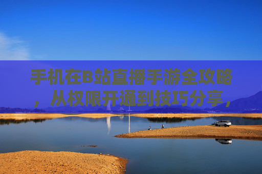 手机在B站直播手游全攻略,从权限开通到技巧分享,轻松打造个人游戏直播间,手机B站手游直播全攻略,从权限开通到技巧分享,轻松打造个人游戏直播间