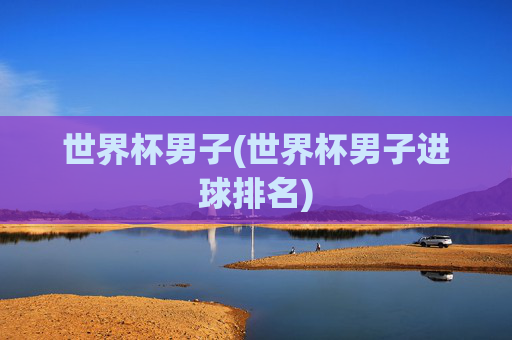 世界杯男子(世界杯男子进球排名)
