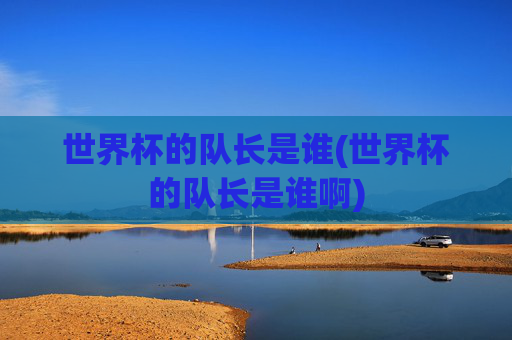 世界杯的队长是谁(世界杯的队长是谁啊)