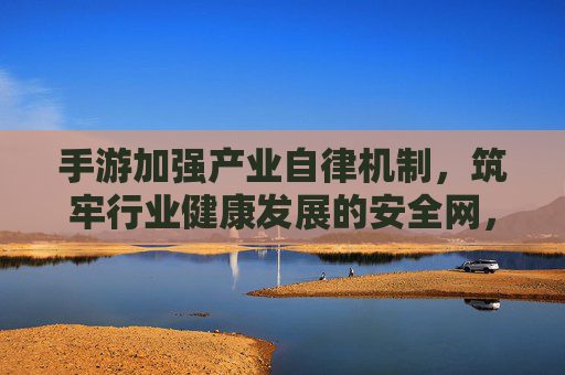 手游加强产业自律机制,筑牢行业健康发展的安全网,手游加强产业自律机制 筑牢行业健康发展的安全网
